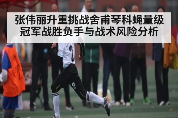 张伟丽升重挑战舍甫琴科蝇量级冠军战胜负手与战术风险分析